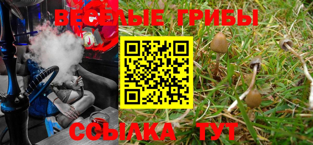 Псилоцибиновые грибы ЛСД  Галлюциногенные грибы ЛСД  Саратов  что такое   Вход с VPN 
