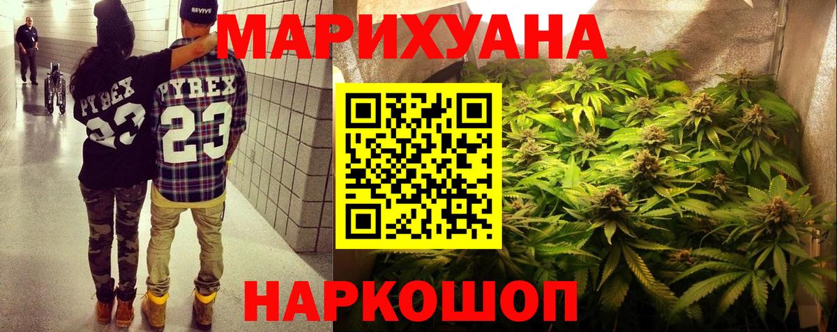Бошки Шишки планчик Саратов